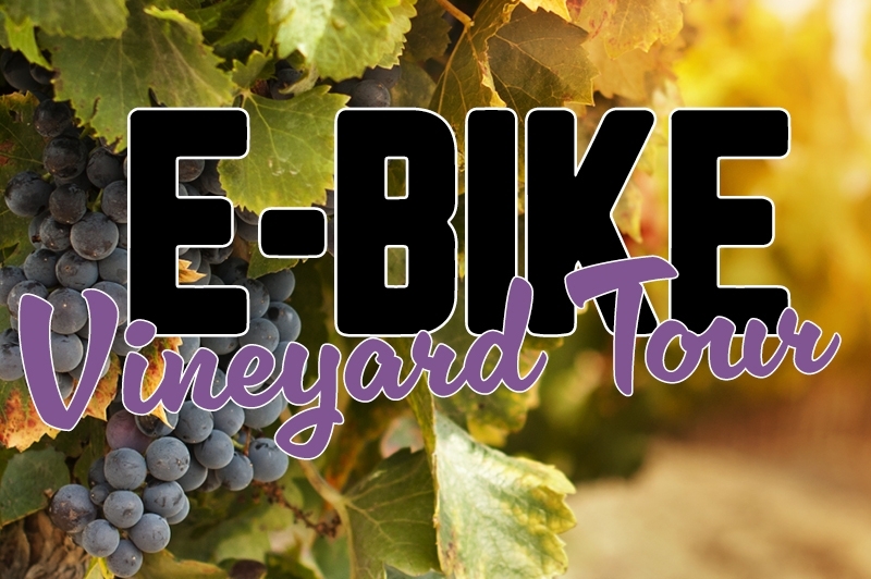 01_e-bike-vineyard-tour_june-1_ODR4.jpg